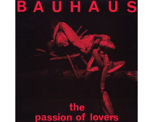 Bauhaus - The Passion of Lovers