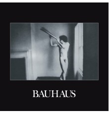 Bauhaus - In the Flat Field