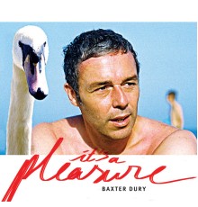 Baxter Dury - It's a Pleasure