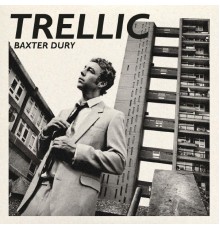 Baxter Dury - Trellic