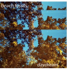 Beach Fossils - Daydream / Desert Sand