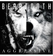 Beartooth - Aggressive (Album Commentary)