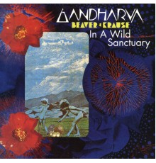 Beaver & Krause - In A Wild Sanctuary (1970) / Gandharva (1971)