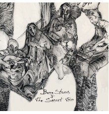 Becca Stevens & The Secret Trio - Becca Stevens & The Secret Trio