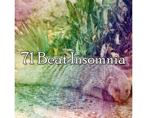 Bedtime Baby - 71 Beat Insomnia