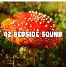 Bedtime Baby - 42 Bedside Sound