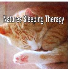 Bedtime Baby - Natures Sleeping Therapy