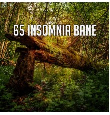 Bedtime Baby - 65 Insomnia Bane