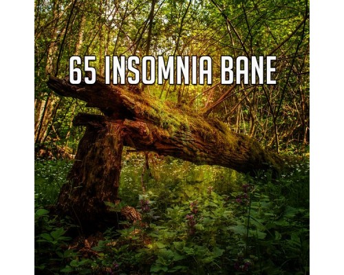 Bedtime Baby - 65 Insomnia Bane