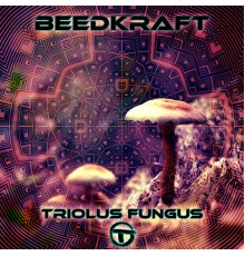 BeedKraft - Triolus Fungus