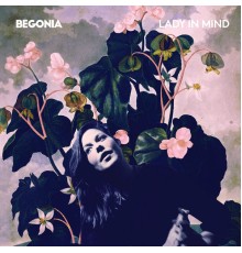 Begonia - Lady in Mind