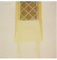 Benoit Pioulard - Lasted