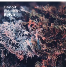 Benoit Pioulard - Sylva