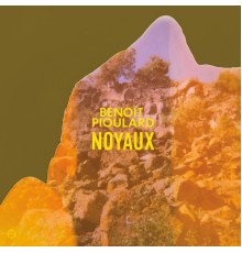 Benoît Pioulard - Noyaux