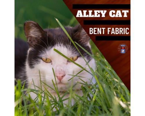 Bent Fabric - Alley Cat