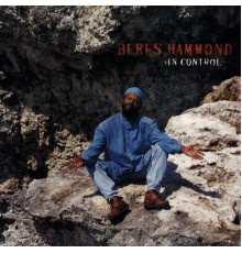 Beres Hammond - In Control