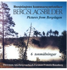 Bergslagens Kammarsymfoniker - Bergslagsbilder