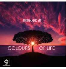 Bernard (It) - Colours of Life