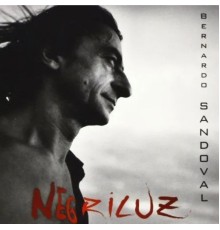 Bernardo Sandoval - Negriluz