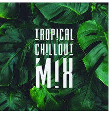Best of Hits, Summer Experience Music Set - Tropical Chillout Mix: Chillout Vibes, Compilation of Best 2019 Sunny Beats, Deep Relax, Summer Music