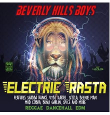 Beverly Hills Boys - Electric Rasta