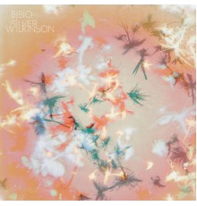 Bibio - Silver Wilkinson