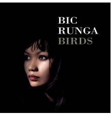 Bic Runga - Birds