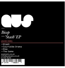 Bicep - Stash