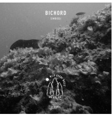 Bichord - Simbiosi