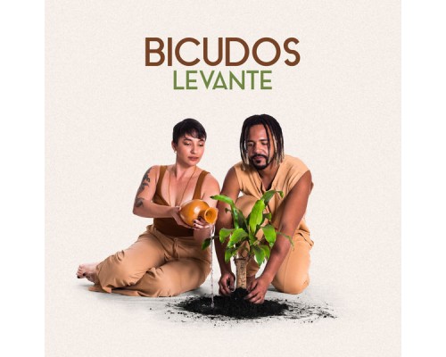 Bicudos - Levante