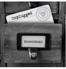 Big Fat Snake - Unplugged (Unplugged)