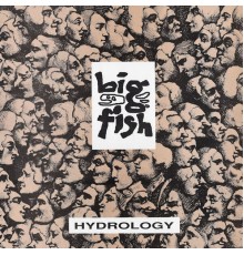 Big Fish - Hydrology