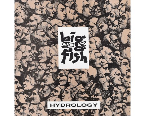 Big Fish - Hydrology