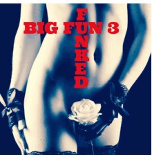 Big Fun 3 - Funked