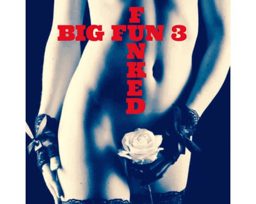 Big Fun 3 - Funked