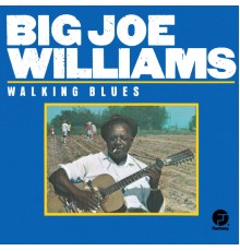 Big Joe Williams - Walking Blues