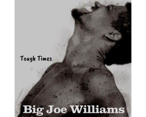 Big Joe Williams - Tough Times