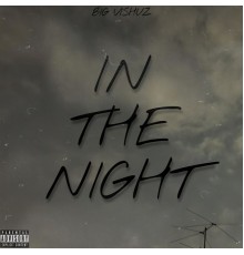 Big Vishuz - In The Night