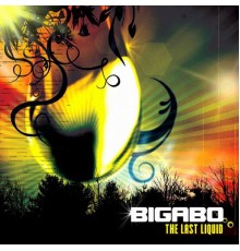 Bigabo - The Last Liquid