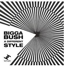 BiggaBush - A Different Style