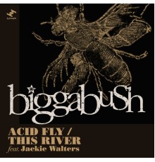 BiggaBush - Acid Fly / This River