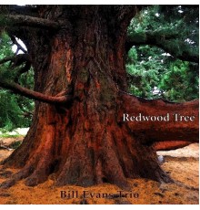 Bill Evans Trio - Redwood Tree