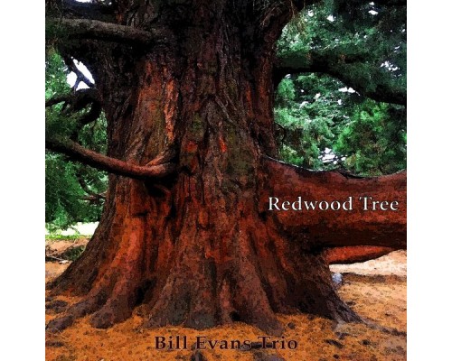 Bill Evans Trio - Redwood Tree