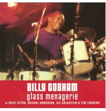 Billy Cobham - Glass Menagerie  (Live)