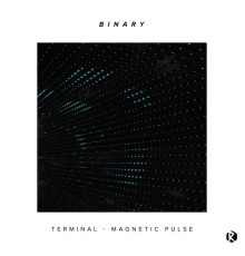 Binary - Terminal, Magnetic Pulse