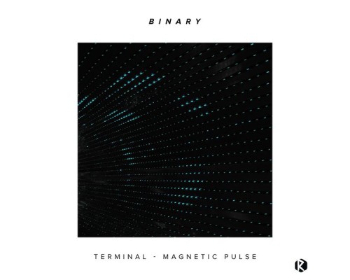 Binary - Terminal, Magnetic Pulse