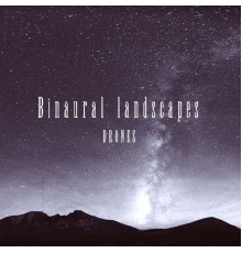 Binaural Landscapes - Drones