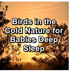 Bird Sounds, Nature Bird Sounds, Bird Sounds 2016, Cam Dut - Birds in the Cold Nature for Babies Deep Sleep