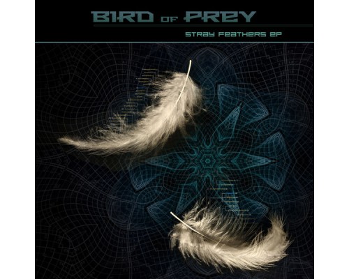 Bird of Prey - Stray Feathers