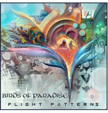 Birds of Paradise - Flight Patterns